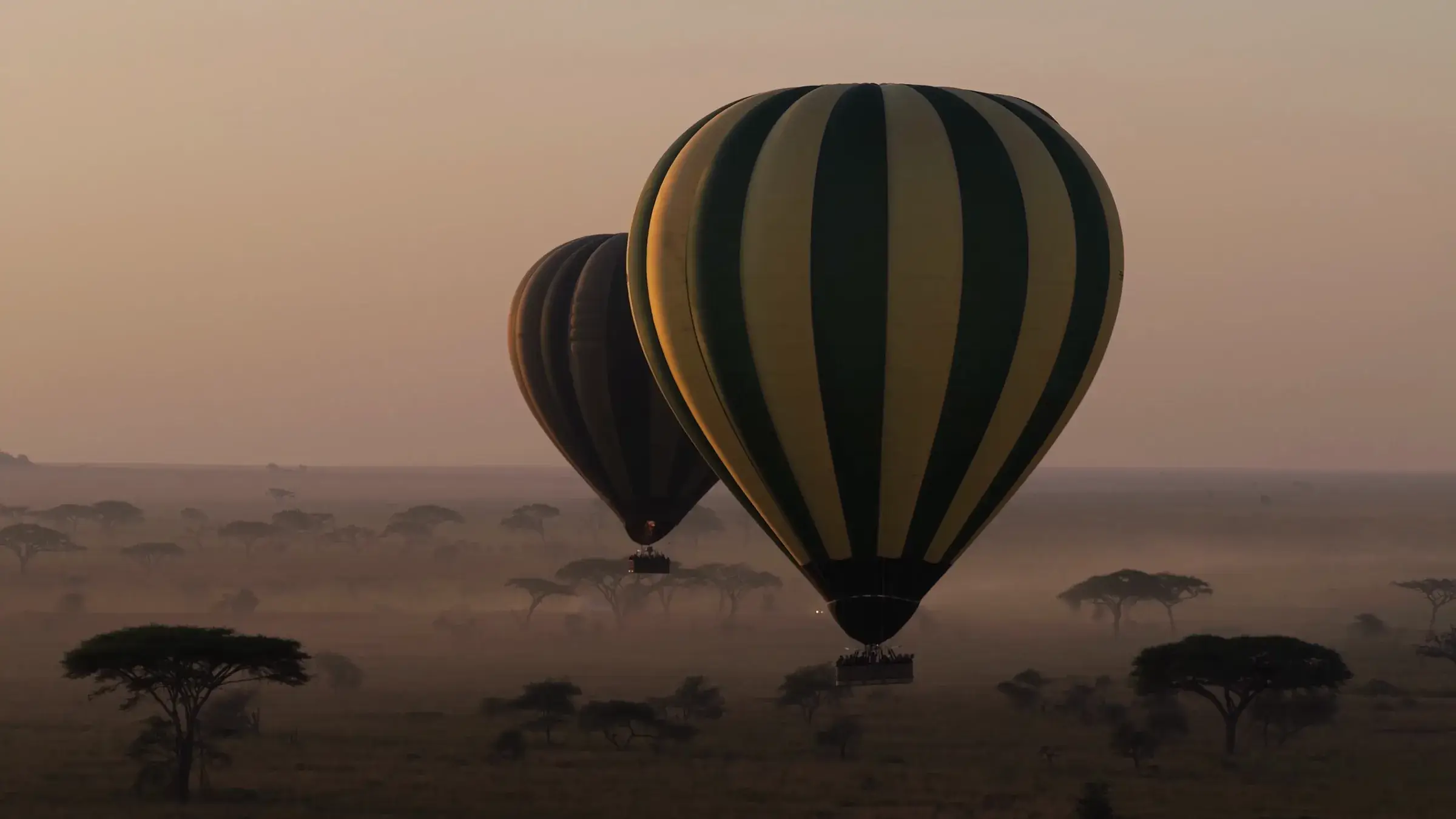 Hot-air balloons over the plains at dawn