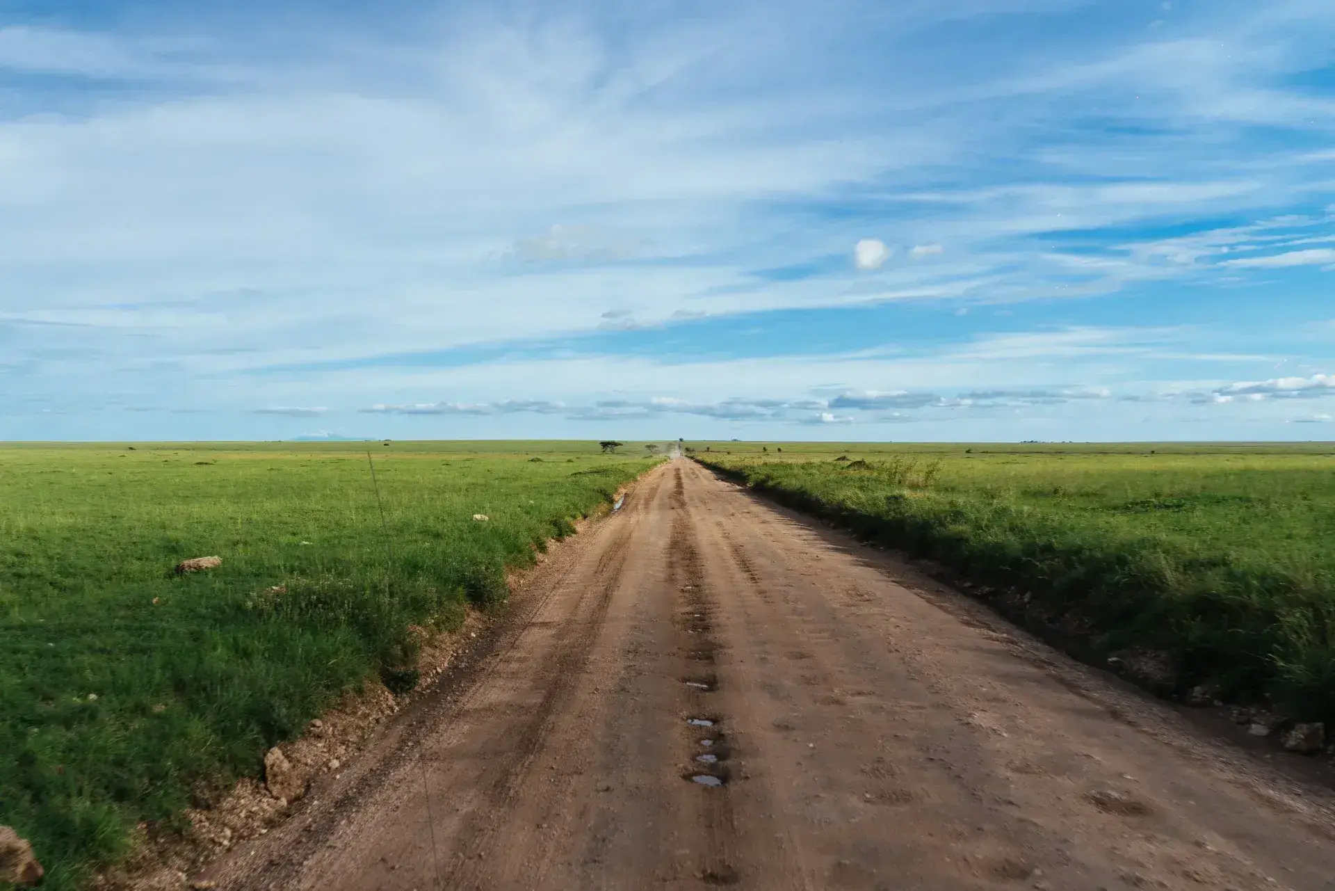 Dirt road across the green Serengeti plains